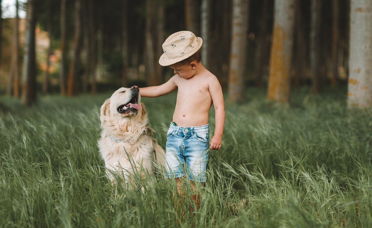 Czy warto podarować psa? – Jaki piesek dla dziecka?